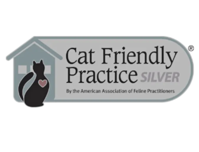 Silver Certified Cat Friendly Practice 
